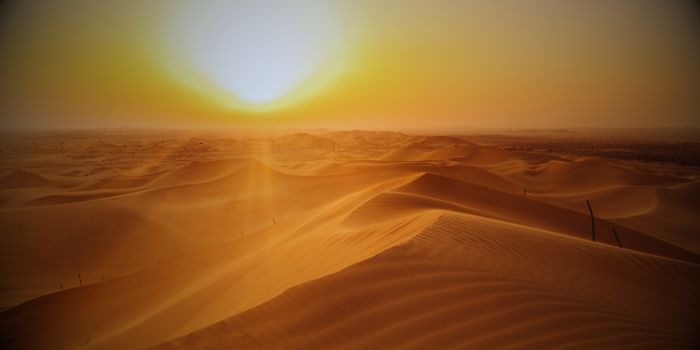Dubai Abu Dhabi